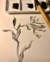 Load image into Gallery viewer, Iris Flower 鳶尾花 in ink,Chinese ink painting in Xuan paper, Original