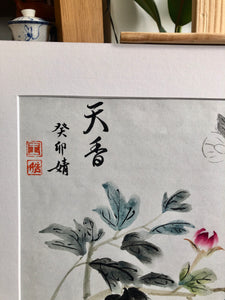 Stunning Beauty 天香, Original, Chinese Painting on Xuan Paper, Painted in Brighton, UK